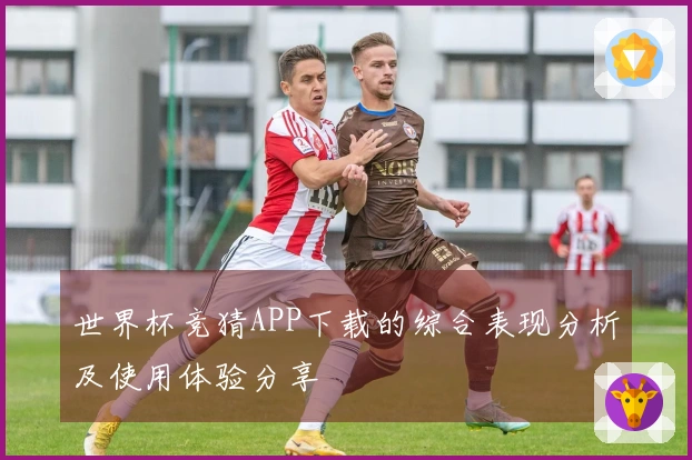 世界杯竞猜APP下载的综合表现分析及使用体验分享
