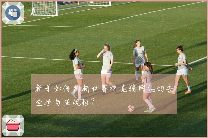 新手如何判断世界杯竞猜网站的安全性与正规性？