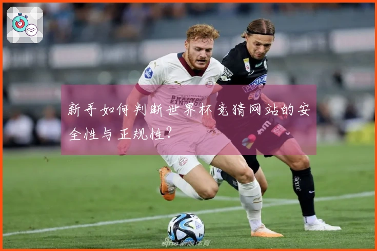 新手如何判断世界杯竞猜网站的安全性与正规性？