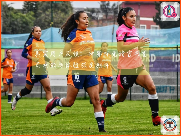 真实用户反馈：世界杯竞猜官网首页功能与体验深度测评