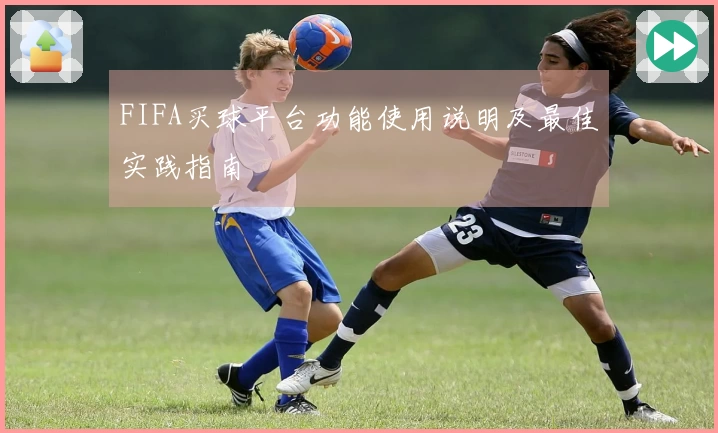 FIFA买球平台功能使用说明及最佳实践指南