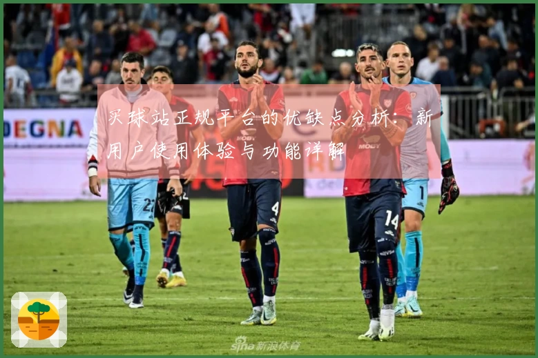 买球站正规平台的优缺点分析：新用户使用体验与功能详解