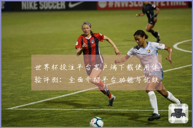 世界杯投注平台客户端下载使用体验评测：全面介绍平台功能与优缺点