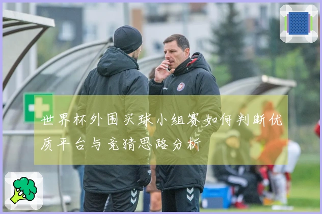 世界杯外围买球小组赛如何判断优质平台与竞猜思路分析