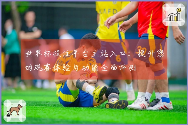 世界杯投注平台主站入口：提升您的观赛体验与功能全面评测
