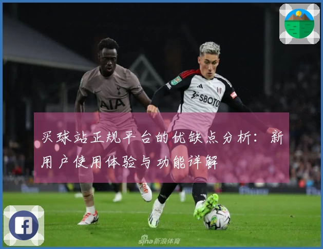 买球站正规平台的优缺点分析：新用户使用体验与功能详解