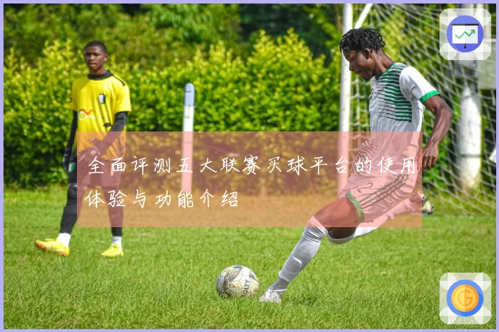 全面评测五大联赛买球平台的使用体验与功能介绍